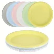 Plastic Plate Set (6 Pieces)