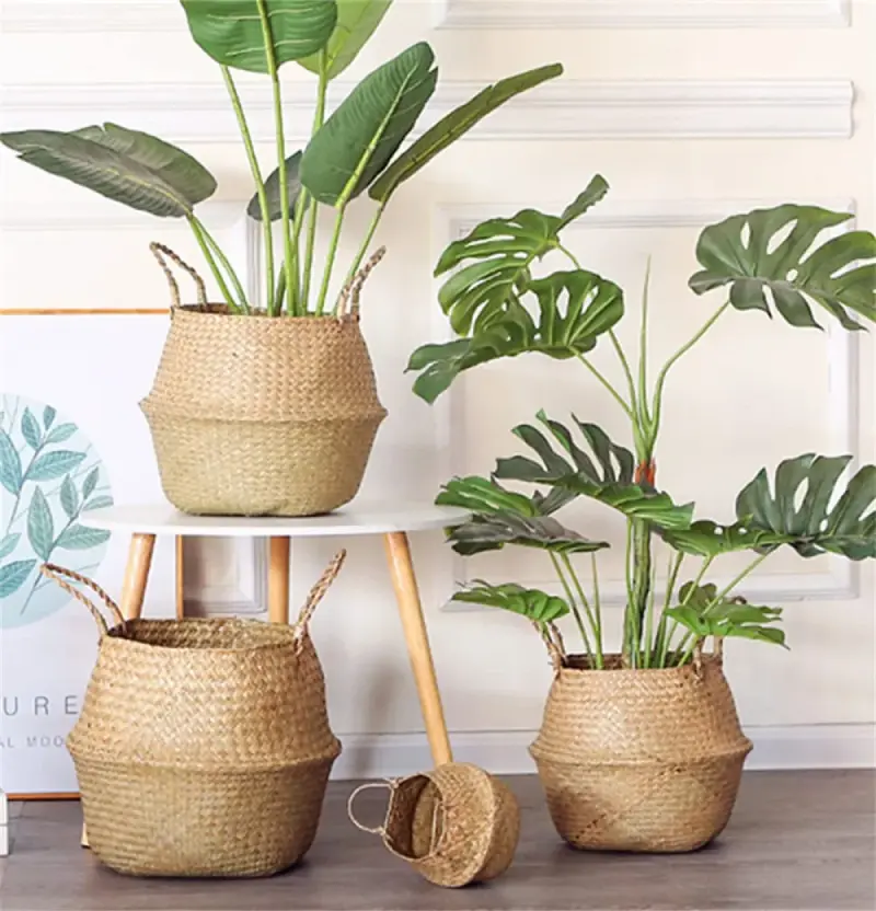 Woven Planter (Big) | Kenya view 1