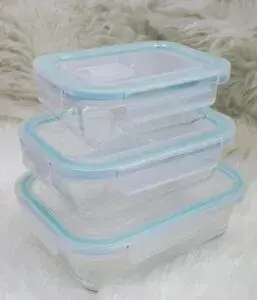 Glass Snack Box With Bag (3-in-1)